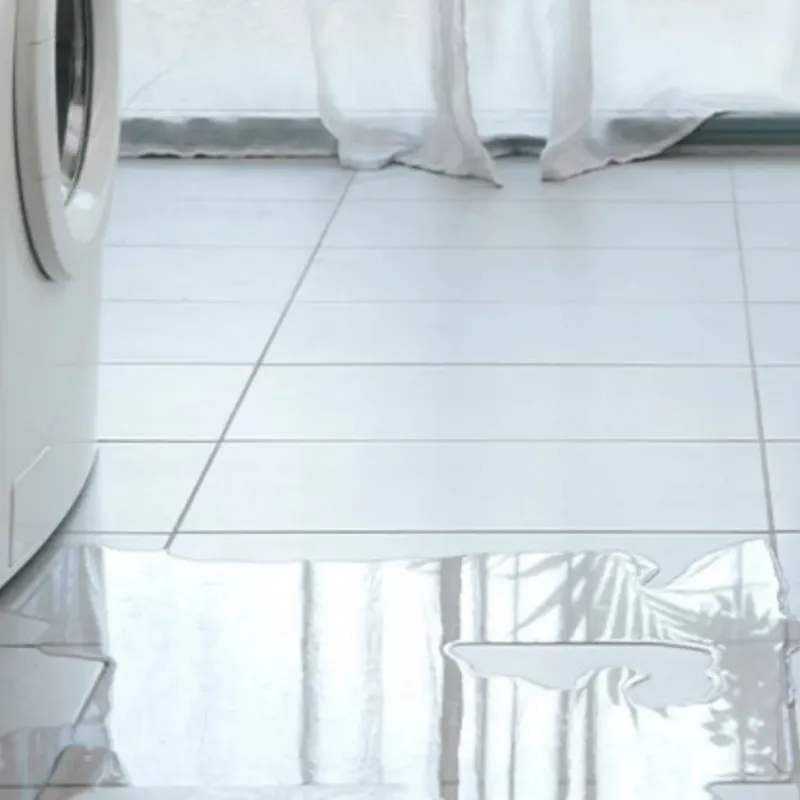 Appliance Leak Cleanup in West Hills, NY