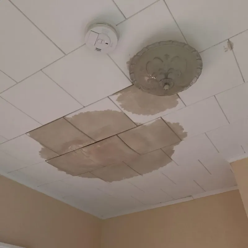 Ceiling Water Damage Repair in West Hills, NY