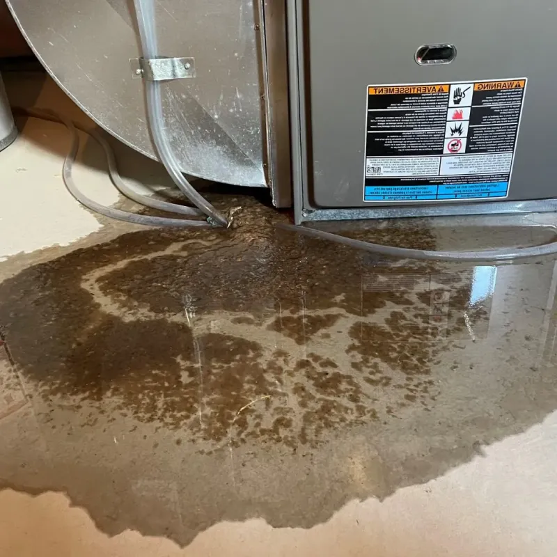 Pipe Burst and Leak Restoration in West Hills, NY
